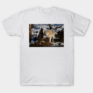 Arctic Wolf T-Shirt